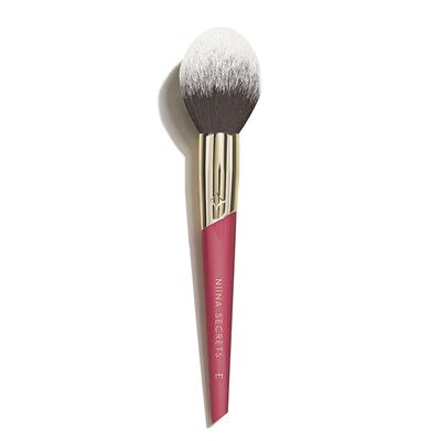 PINCEL P BLUSHNIINA SECRETS